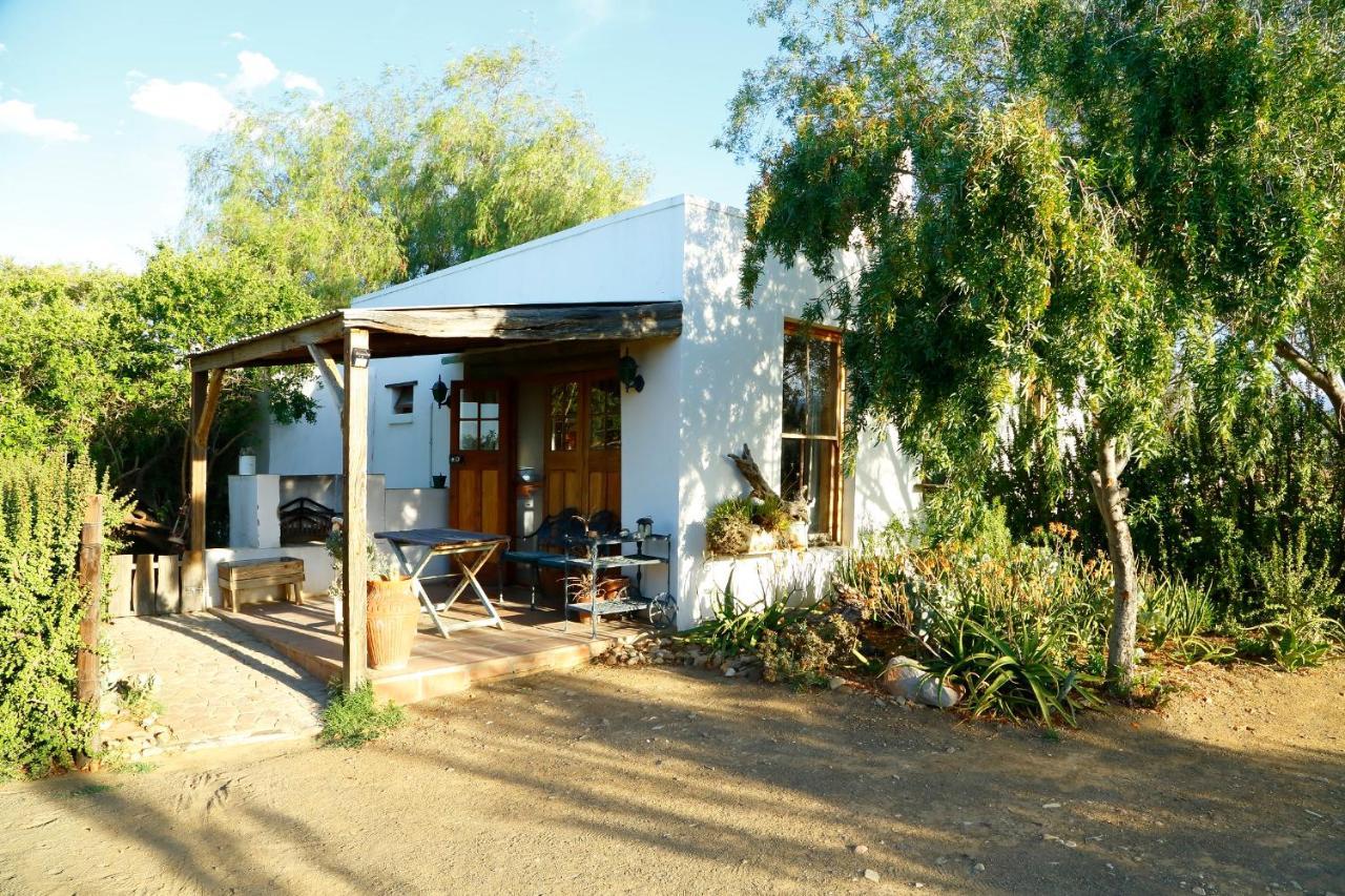 Aloe Guest House プリンス・アルバート エクステリア 写真