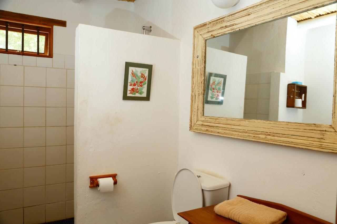 Aloe Guest House プリンス・アルバート エクステリア 写真