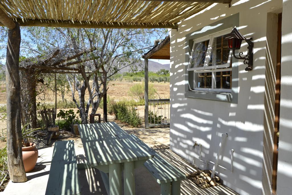 Aloe Guest House プリンス・アルバート エクステリア 写真